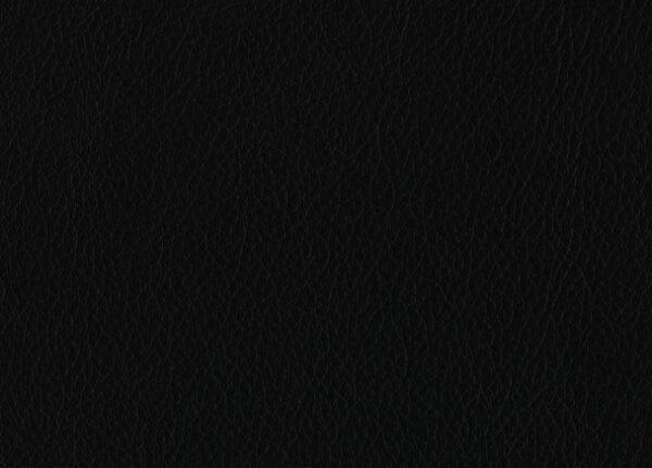 Skin Negro Cuero